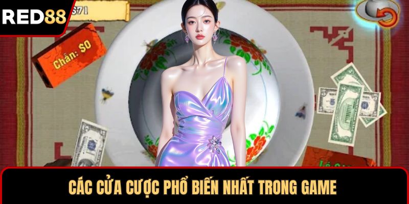 Các cửa cược phổ biến nhất trong game