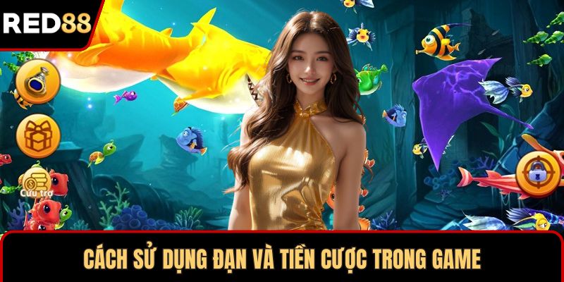 Cách sử dụng đạn và tiền cược trong game