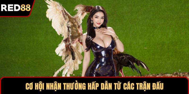 Cơ hội nhận thưởng hấp dẫn từ các trận đấu
