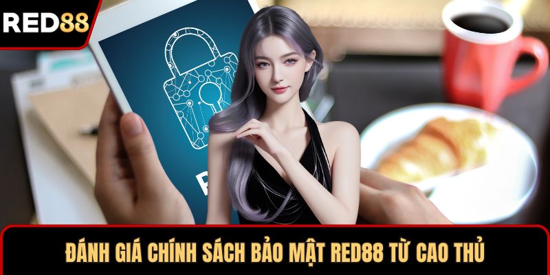 Đánh giá chính sách bảo mật RED88 từ cao thủ