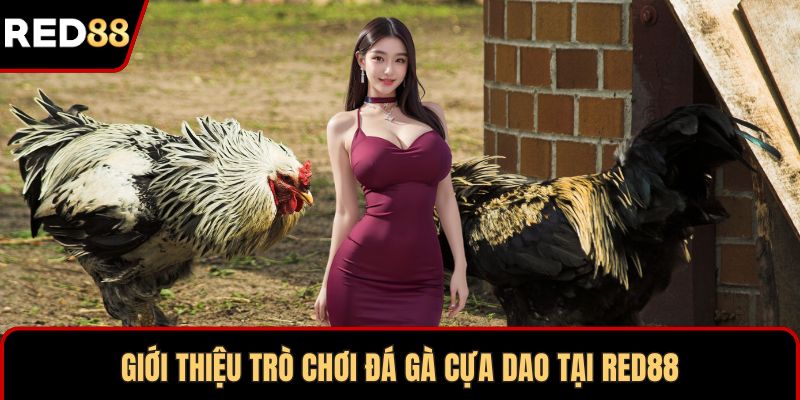 Giới thiệu trò chơi đá gà cựa dao tại RED88