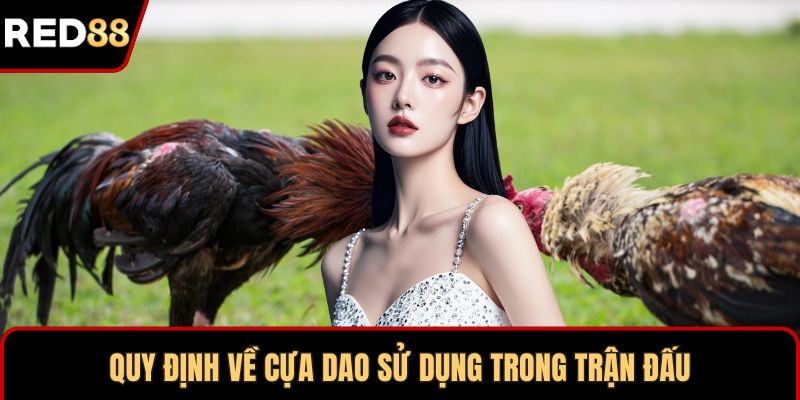 Quy định về cựa dao sử dụng trong trận đấu