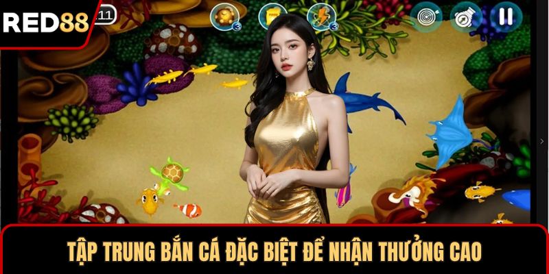 Tập trung bắn cá đặc biệt để nhận thưởng cao