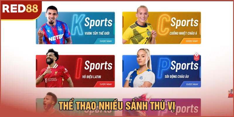 Thể thao nhiều sảnh thú vị