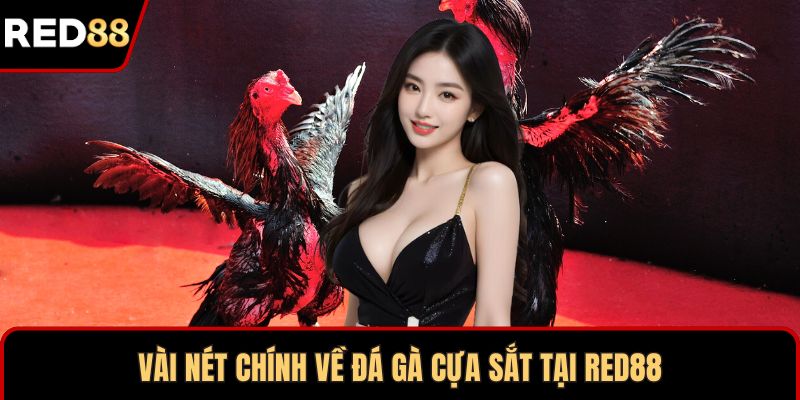 Vài nét chính về đá gà cựa sắt tại RED88